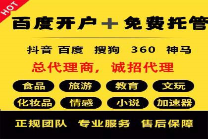 专业SEM托管公司案例分享：提升流量秘诀